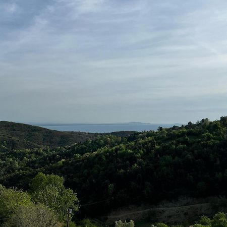 Hotel Restorant Olti Shetaj Dış mekan fotoğraf